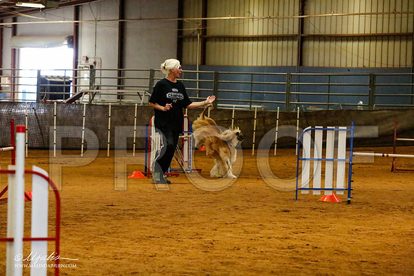 _MJ_2584-AfgBeltonOct2014-HR3