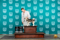Alaskan Klee Kai #978 Fri COCBOB Judge Stephanie Mueller