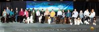 Poodle Group 30x10