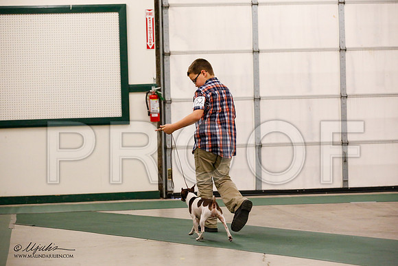 _JN_0564-NrmnNov2014-HR3