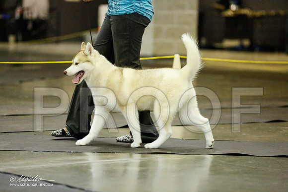 _RH_1793-BeltonJan2015IABCA-HR3
