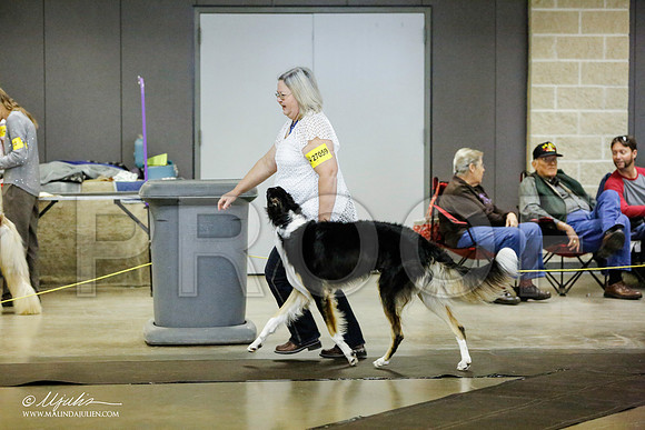 _RH_1312-BeltonJan2015IABCA-HR3