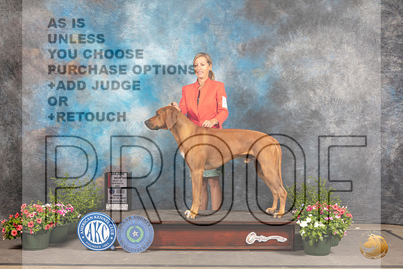 Rhodesian Ridgeback #25 SD Judge Michael Canalizo_MJ_0802_SA_2022_HR3
