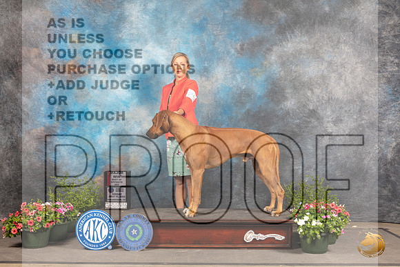 Rhodesian Ridgeback #25 SD Judge Michael Canalizo_MJ_0797_SA_2022_HR3
