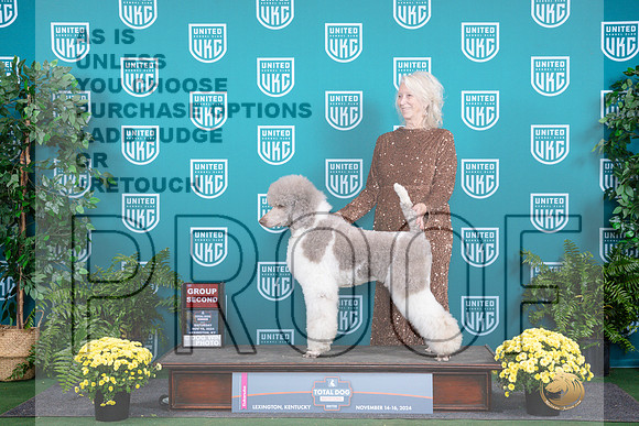 Poodle Std # Sat G2__JP_2747_UKCTDI2024_HR3