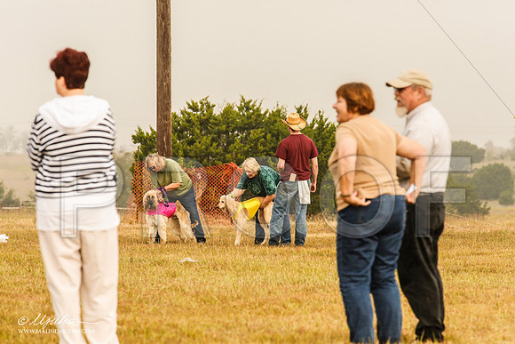 _MJ_3666-AfgBeltonOct2014-HR3