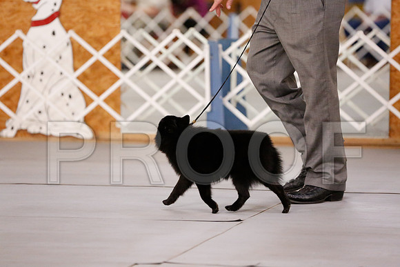 _RH_7474-CarlrolltonSept2014-HR3
