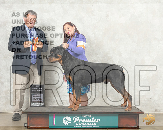 Rottweiler #1296 Sat BMCh Judge Ronald Sacca__MJ_8532_Premier_2022_HR3