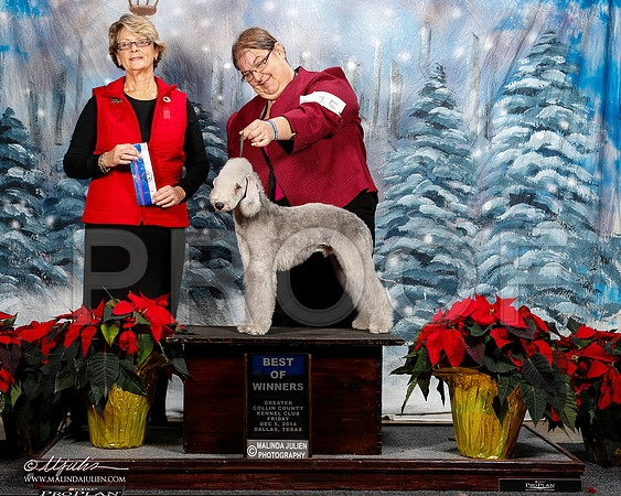 _ST_8126-2-DallasDec2014-HR3