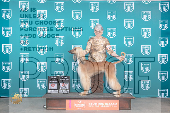 Afghan Hound #225 Sun BOWCH Judge Joeseph Gubry_JP_3887_UKC Belton_2023_HR3