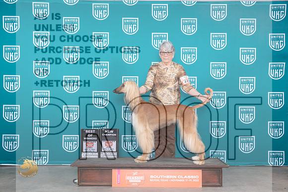 Afghan Hound #225 Sun BOWCH Judge Joeseph Gubry_JP_3884_UKC Belton_2023_HR3