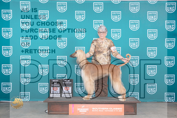 Afghan Hound #225 Sun BOWCH Judge Joeseph Gubry_JP_3882_UKC Belton_2023_HR3