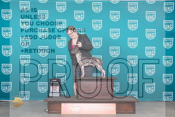 American Hairless Terrier #? BMCH No Judge_JP_3973_UKC Belton_2023_HR3