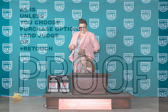 American Hairless Terrier #206 Sat BOWCH Judge Karen Hynek r_JP_4272_UKC Belton_2023_HR3