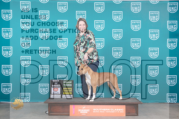 American Pit Bull Terrier #291 Fri Sat BOB G4 Joe Sat G3 Karen_JP_3879_UKC Belton_2023_HR3