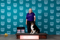 Australian Shepherd #129