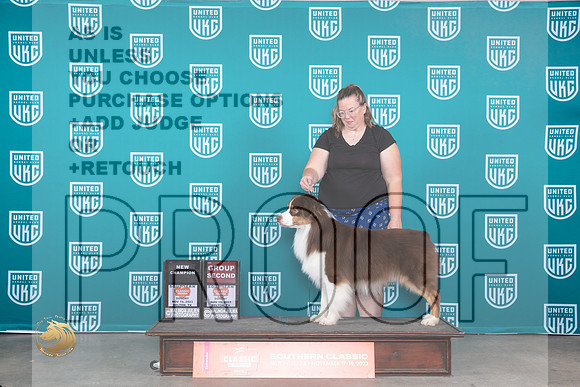 Australian Shepherd #409 Sun BOBCHG2 Judge Joseph Gubry_JP_4174_UKC Belton_2023_HR3