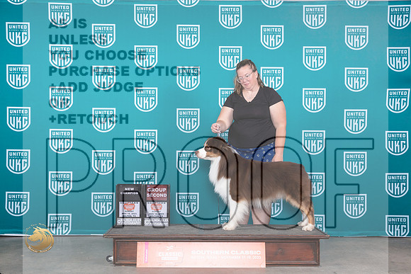 Australian Shepherd #409 Sun BOBCHG2 Judge Joseph Gubry_JP_4170_UKC Belton_2023_HR3