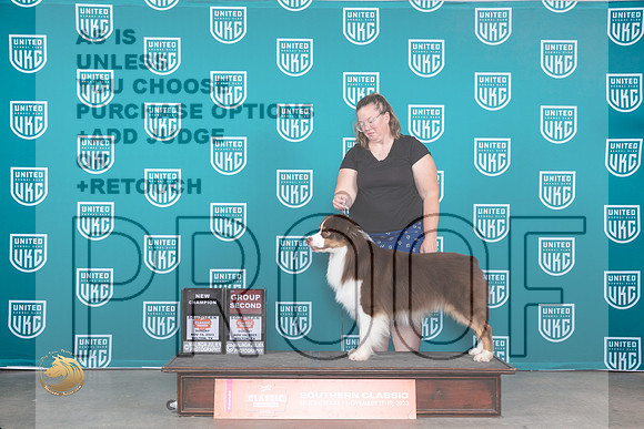 Australian Shepherd #409 Sun BOBCHG2 Judge Joseph Gubry_JP_4173_UKC Belton_2023_HR3