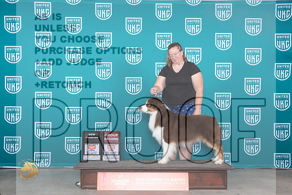 Australian Shepherd #409 Sun BOBCHG2 Judge Joseph Gubry_JP_4171_UKC Belton_2023_HR3
