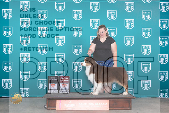 Australian Shepherd #409 Sun BOBCHG2 Judge Joseph Gubry_JP_4175_UKC Belton_2023_HR3