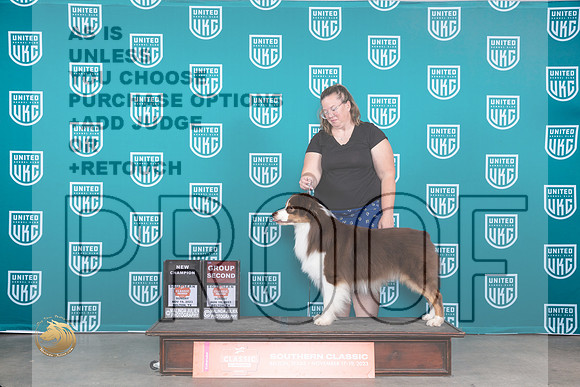 Australian Shepherd #409 Sun BOBCHG2 Judge Joseph Gubry_JP_4172_UKC Belton_2023_HR3
