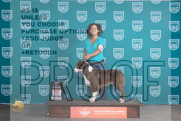 Australian Shepherd #425 Sun WDBOW Judge Nina Marie Sherrer_JP_3923_UKC Belton_2023_HR3
