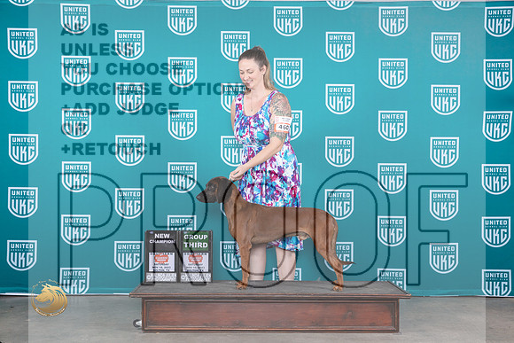 Barvarian Mountain Cur #461 Sat G3CH Judge Carianna Glenn_JP_4295_UKC Belton_2023_HR3