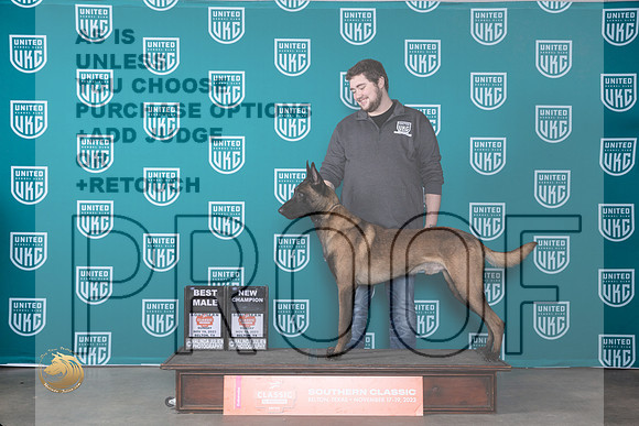 Belgian Malinois #113 Sun BMCH Judge Nina Marie Sherrer_JP_4222_UKC Belton_2023_HR3