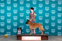 Belgian Shepherd Dog #450 Sun BOW