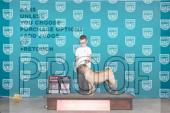 Chinese Shar Pei #243 Sun G2CH Judge Judge Carianna Glenn_JP_4114_UKC Belton_2023_HR3