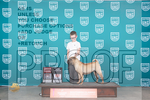 Chinese Shar Pei #243 Sun G2CH Judge Judge Carianna Glenn_JP_4115_UKC Belton_2023_HR3