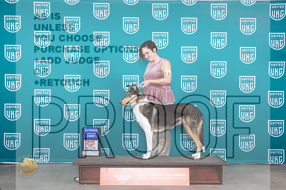 Collie Smooth #132 Sun AG1 Judge Joseph Gubry_JP_4216_UKC Belton_2023_HR3
