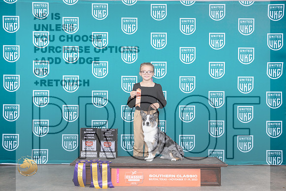 Corgi x #152 Jr 601 Jr HIT ROI_JP_3901_UKC Belton_2023_HR3