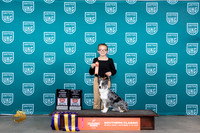 Corgi x #152 Jr 601 Jr HIT ROI