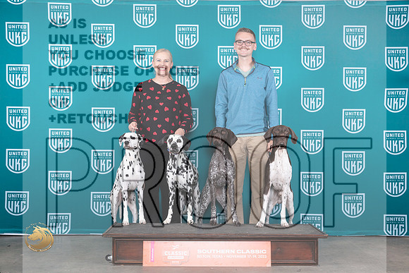 Dalmatian #186 #325 Sun _JP_4233_UKC Belton_2023_HR3