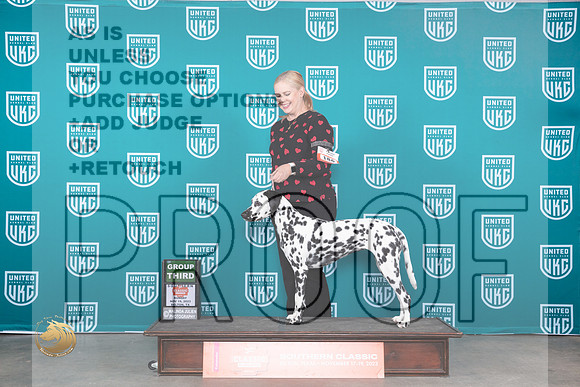 Dalmatian #187 Sun BOBG3 Judge Antonio Raposo_JP_3950_UKC Belton_2023_HR3