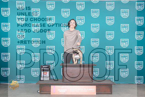 French Bulldog #386 Sat BF Judge Polly Drake Jones_JP_3960_UKC Belton_2023_HR3