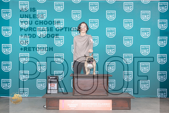 French Bulldog #386 Sat BF Judge Polly Drake Jones_JP_3959_UKC Belton_2023_HR3