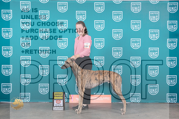 Greyhound #194 Sun G4 Judge Joseph Gubry_JP_3927_UKC Belton_2023_HR3