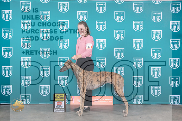 Greyhound #194 Sun G4 Judge Joseph Gubry_JP_3930_UKC Belton_2023_HR3