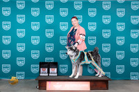Japanese Akitainu #398 Fri UWPCH