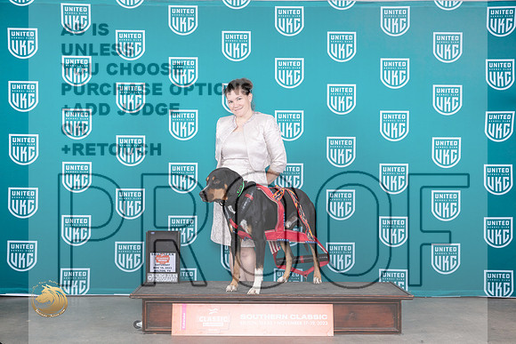 Louisiana Catahoula Leopard Dog #? 60-701st _JP_4184_UKC Belton_2023_HR3