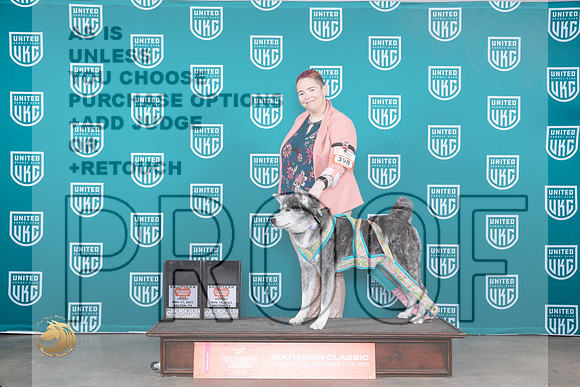 Japanese Akitainu #398 Fri UWPCH_JP_4118_UKC Belton_2023_HR3