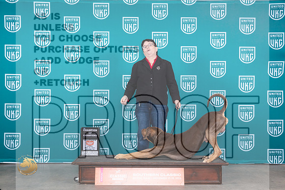 Lousiana Catahoula Leopard Dog #112 Sun COC Judge Nina Marie Sherrer_JP_4155_UKC Belton_2023_HR3