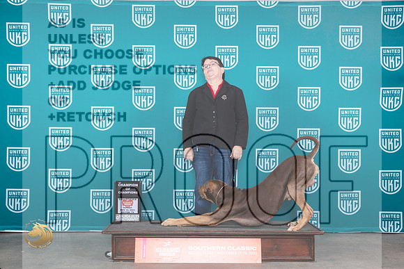 Lousiana Catahoula Leopard Dog #112 Sun COC Judge Nina Marie Sherrer_JP_4153_UKC Belton_2023_HR3