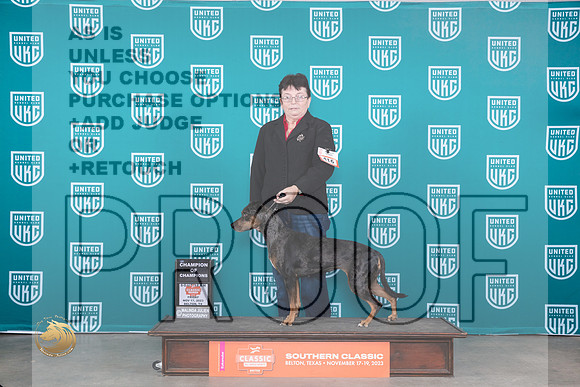 Lousiana Catahoula Leopard Dog #416 Fri COC Judge Polly Drake Jones_JP_4007_UKC Belton_2023_HR3