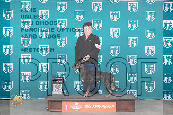 Lousiana Catahoula Leopard Dog #416 Fri COC Judge Polly Drake Jones_JP_4008_UKC Belton_2023_HR3