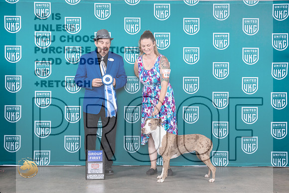Lousiana Catahoula Leopard Dog #460 BOBG1 Judge Joseph Gubry_JP_4291_UKC Belton_2023_HR3