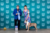 Lousiana Catahoula Leopard Dog #460 BOBG1 Judge Joseph Gubry